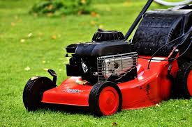 Basic Service: (1) time OR Biweekly lawn care visitations. Mow, Trim, Blow/Debri pick up. lawnmember.com