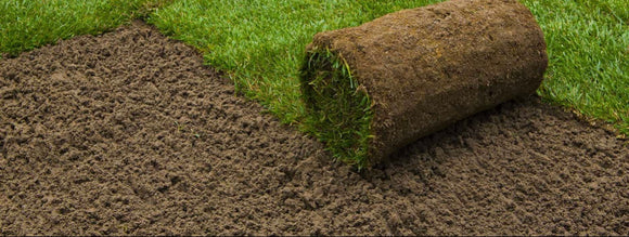 Basic Service: Sod Install/Removal of pre-existing grass/weeds. (512) 699-8011. Visit: lawnmember.com today