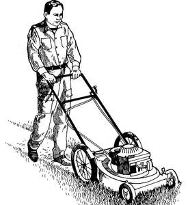 Basic Service: $60 - Mowing, Edging, blow debri. Visit: lawnmember.com or call (512) 699-8011 today.