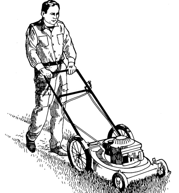 Basic Service: $60 - Mowing, Edging, blow debri. Visit: lawnmember.com or call (512) 699-8011 today.