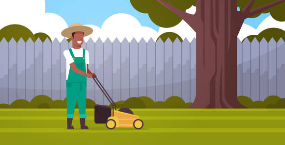 Package Service: Basic Mow Service (Customize) Fall/Spring Yard Clean-Up